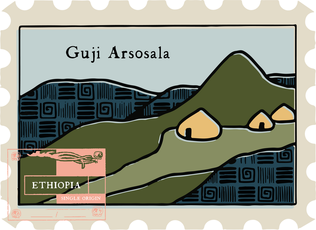 Ethiopia Guji Arsosala