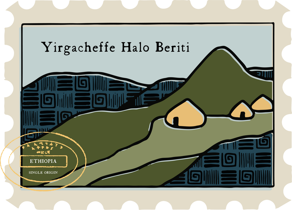 Ethiopia Yirgacheffe Halo Beriti