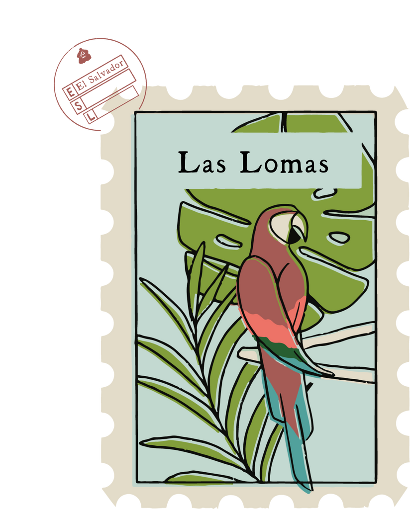 El Salvador Las Lomas